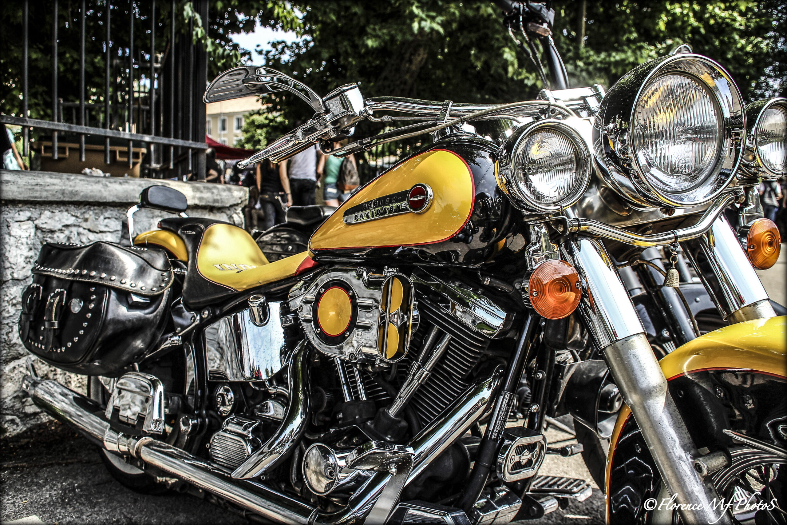 MOTO_Cars & Bikes style